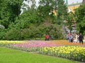 The Alexandrov Gardens